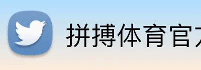 拼搏体育官方网站 logo